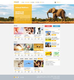 网站设计 从构思到实现的设计稿之旅